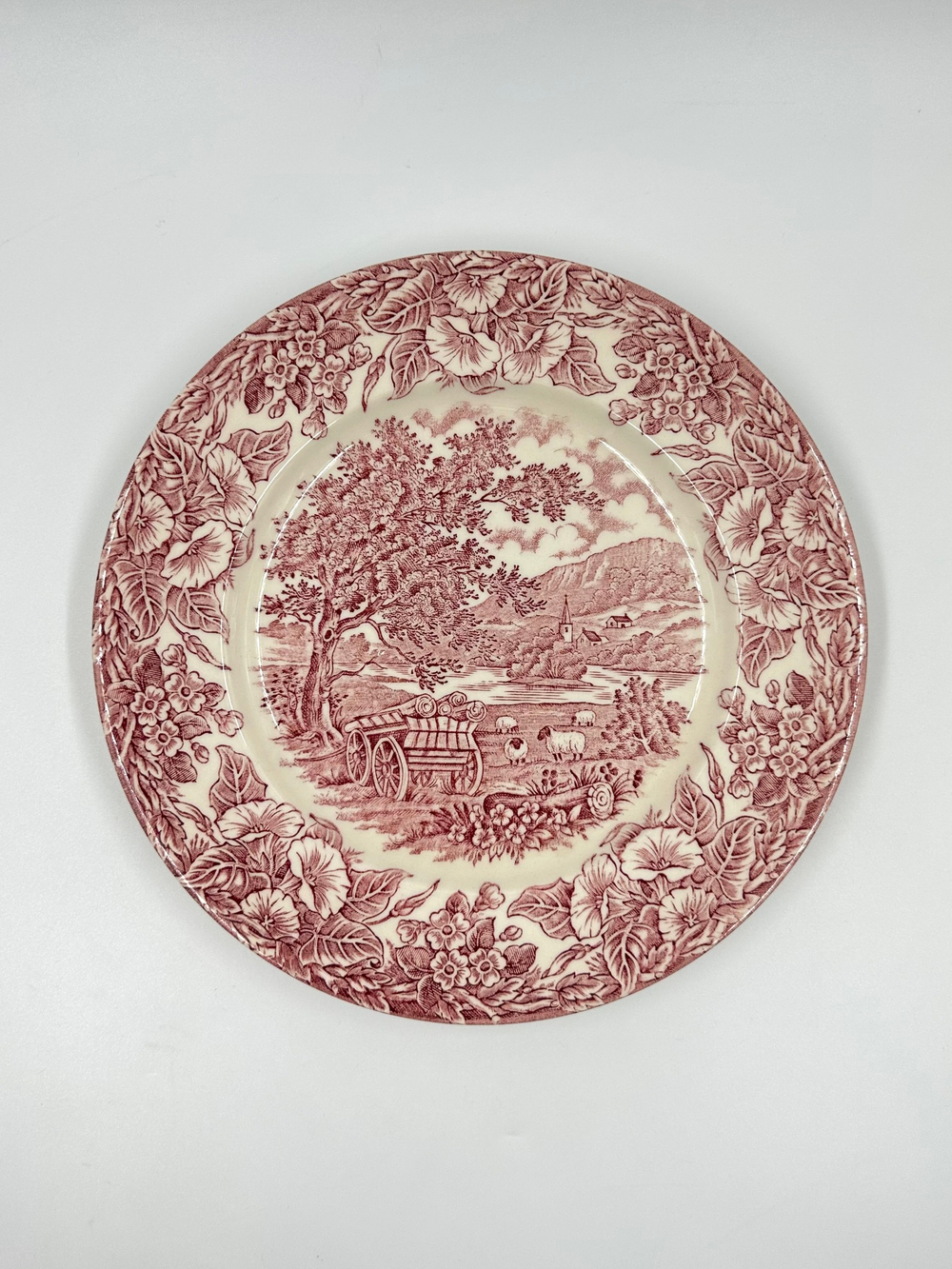 Тарелка 22,5см English Ironstone
