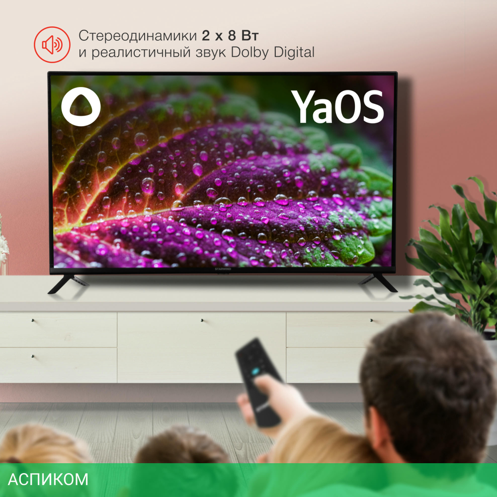 Телевизор LED Starwind 43" SW-LED43SG302