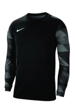 Вратарская кофта Nike Dry Park IV LS GK Детская