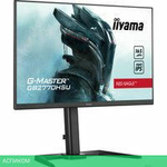 Игровой монитор Iiyama G-Master Red Eagle GB2770HSU-B5