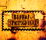 Buffalo Springfield / Box Set (4CD)