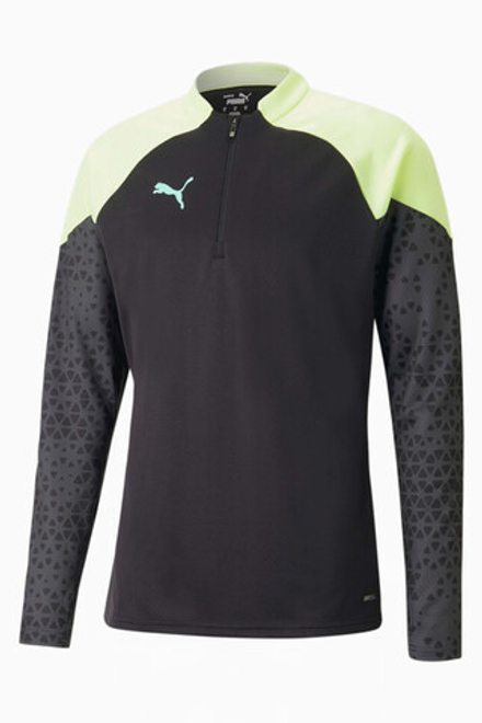 Кофта Puma individualCUP 1/4 Zip Training