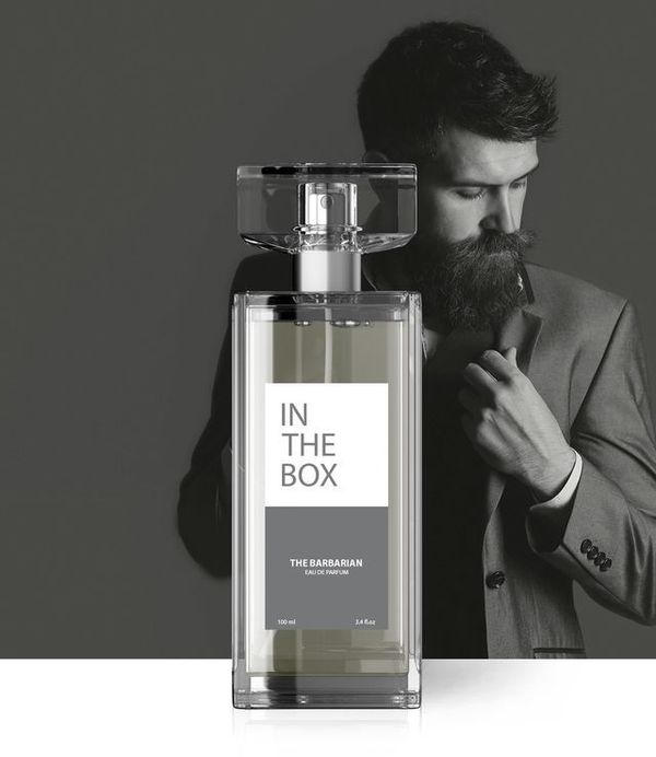 In The Box The Barbarian