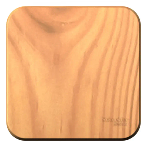 BLANCA О/У 1-клавишный ВЫКЛЮЧАТЕЛЬ (сх.1) с самовозвр, ИЗОЛ.ПЛ., 10А, ЯСЕНЬ