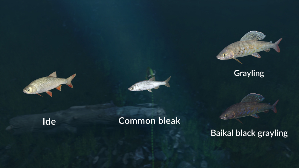 Ultimate Fishing Simulator - New Fish Species (для ПК, цифровой код доступа)