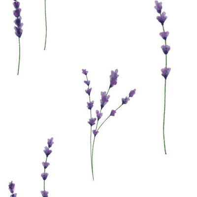 Лаванда. Фиолетовые мелкие цветы