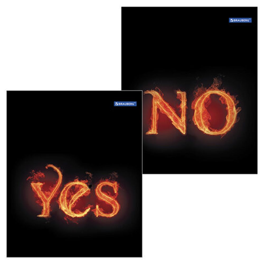 Тетрадь А5, 48 л., BRAUBERG ЭКО, клетка, обложка картон, ОГОНЬ, 401289, 2шт