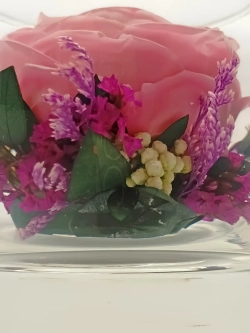 натуральный пион в стекле, вакуум*