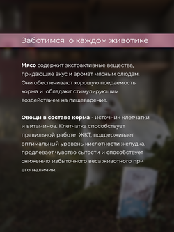 НАБОР Консервы DELISH Super Premium для кошек (суп) с индейкой и овощами - 10 х 80 гр