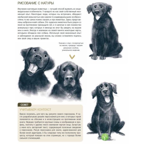 Книга Дизайн персонажей-животных. Концепт-арт для комиксов, видеоигр и анимации