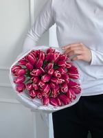 Букет из 51 малиново-белых тюльпанов - нет в наличии