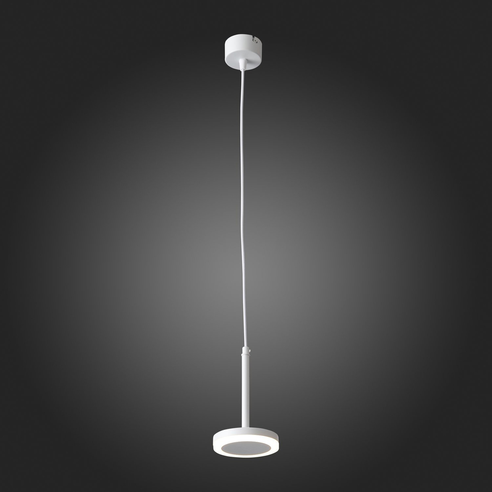 Светильник подвесной ST Luce Function ST104.503.06