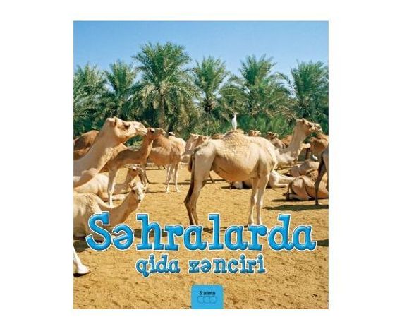 Səhralarda qida zənciri