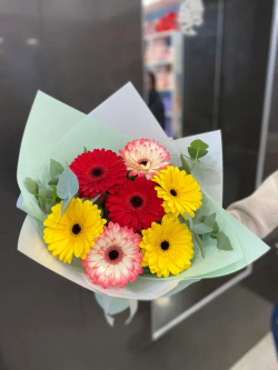 Букет из 7 гербер в пленке