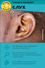 Викторина чемпионов. Человеческое тело