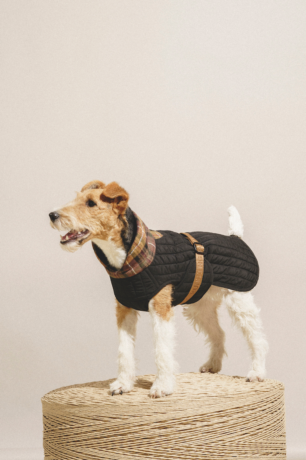 Попона "Пони-Шерлокони"