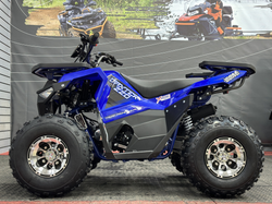 Квадроцикл GBM DAXTER 220 NEW PREMIUM