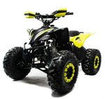 Квадроцикл MOTOLAND (МОТОЛЕНД) 125 RAPTOR A