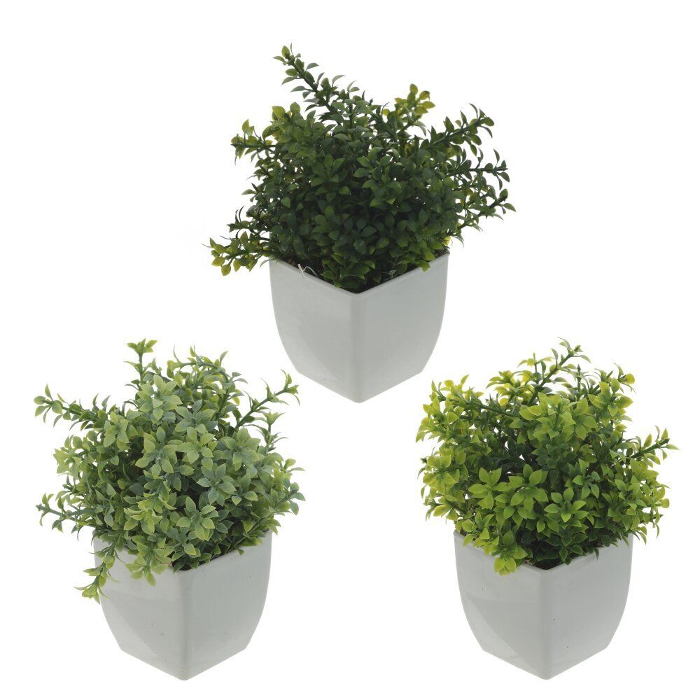 GAEM Цветочная композиция, L11 W11 H16 см, 3в.