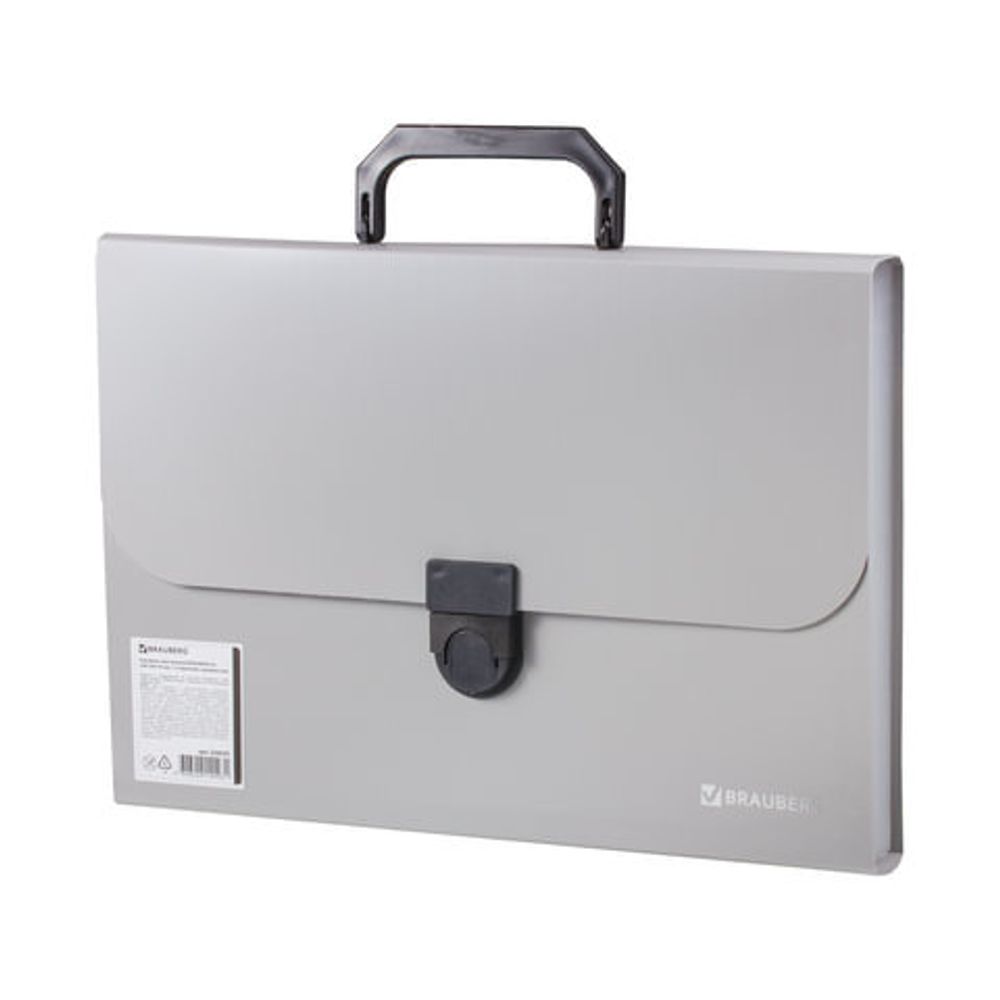 Папка-портфель пластиковая BRAUBERG "ДЕЛЕГАТ" А4 (330х240х35 мм), 13 отделений, фактура диагональ, серебро, 226029