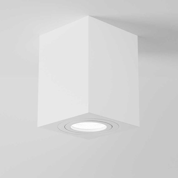 Потолочный светильник Maytoni Alfa C017CL-01W