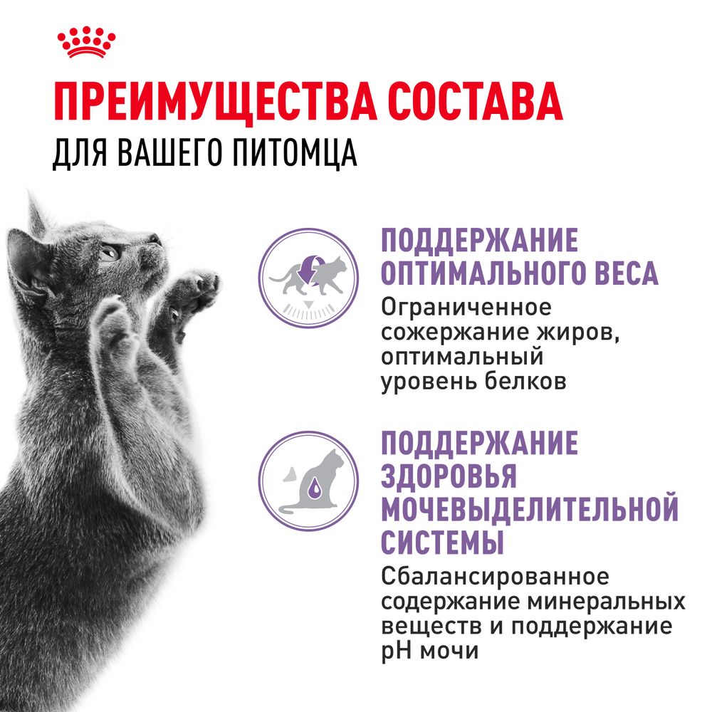 Пауч Royal Canin Sterilised для взрослых стерилизованных кошек, мелкие кусочки в желе Пауч Royal Canin Sterilised для взрослых стерилизованных кошек, мелкие кусочки в желе
