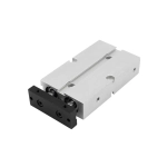 TN 20x125-S Пневмоцилиндр двухпоршневой
