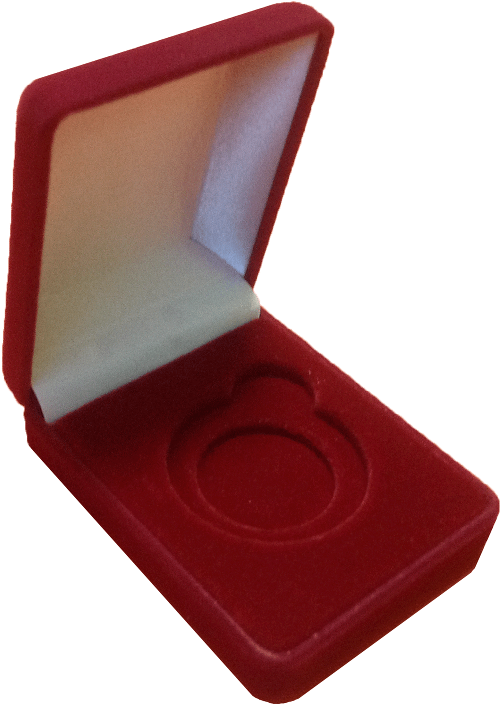 Прямоугольный флокированный футляр под монету и значок.