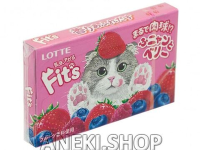 Резинка жевательная со вкусом ягод 26 г FIT`S Funny&Berry Lotte