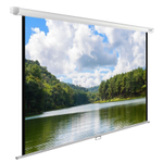 Экран  Cactus CS-PSWE-240X150-WT