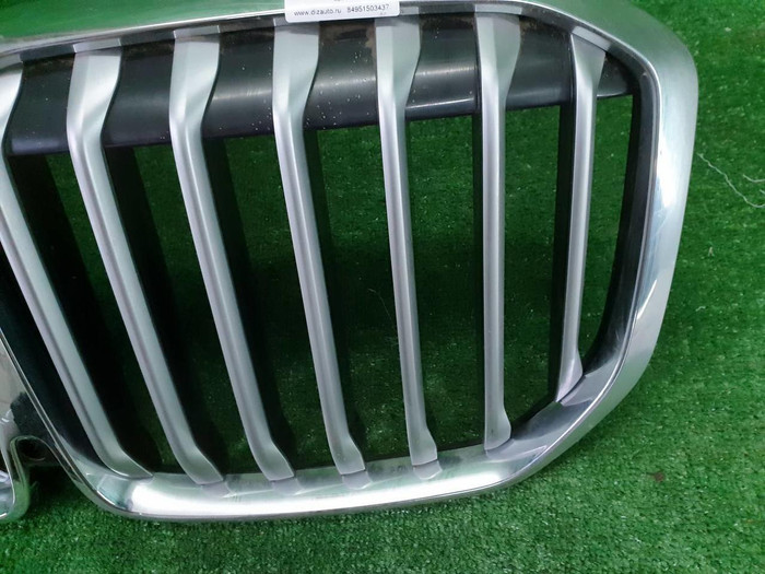 Решетка радиатора BMW X7 G07 (2019-2022)