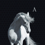 Аквариум / Лошадь Белая (LP)