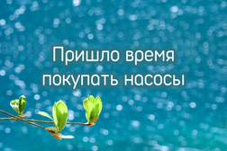 На Амуре начался ледоход — время позаботиться о защите дома и участка!