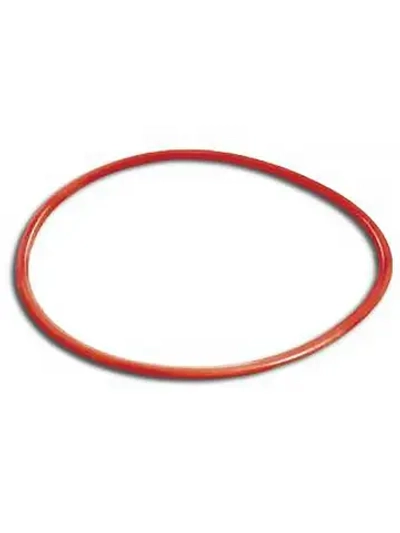 Кольцо уплотнительное силиконовое головки фильтра KF-2208/2218, d160*6мм, Laguna