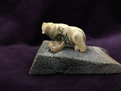 Медведь бурый