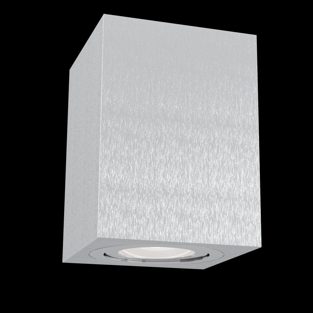 Светильник потолочный Maytoni Alfa C017CL-01S