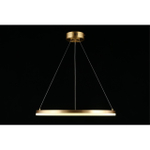 Подвесная светодиодная люстра Aployt Armel APL.049.13.40