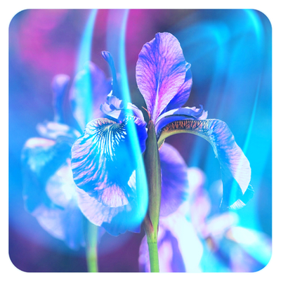 Практический Интенсив «Мастерство Регенерации и Изобилия». Часть 23