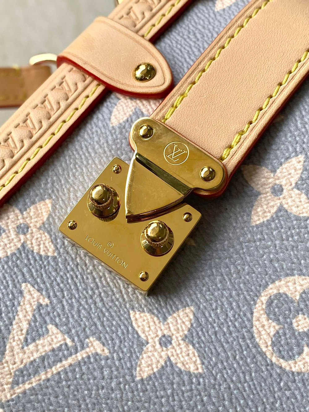 Louis Vuitton Side Trunk MM