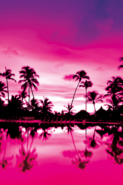 Коллекция Морской пейзаж