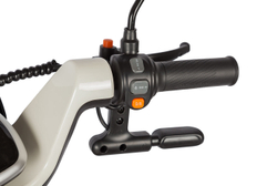 Электротрицикл Gelbert Ogma (650Вт, 48/60B)