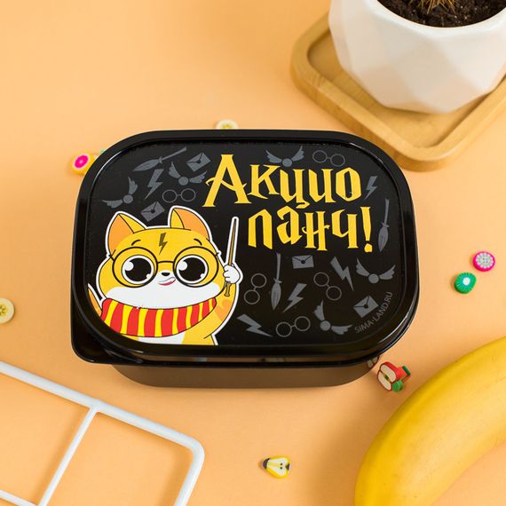 Yemək qabı Ланч-бокс «Акцио ланч», 0.5 л