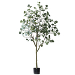 Эвкалипт 156 см.