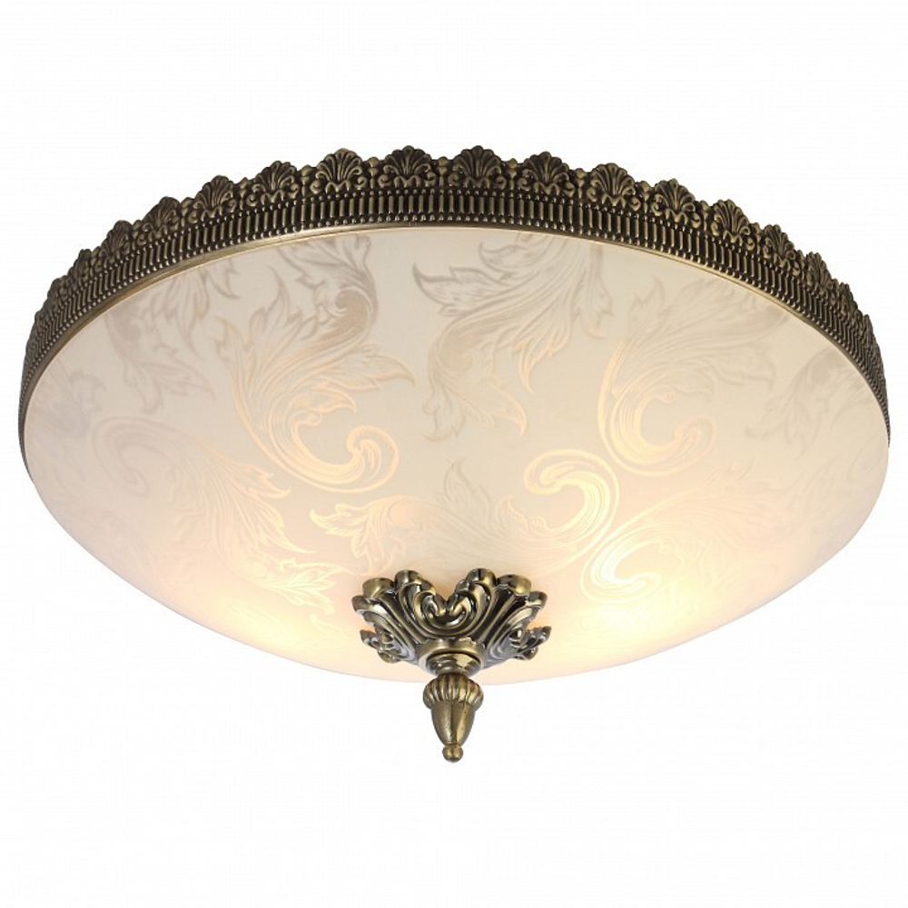 Накладной светильник Arte Lamp A4541PL-3AB