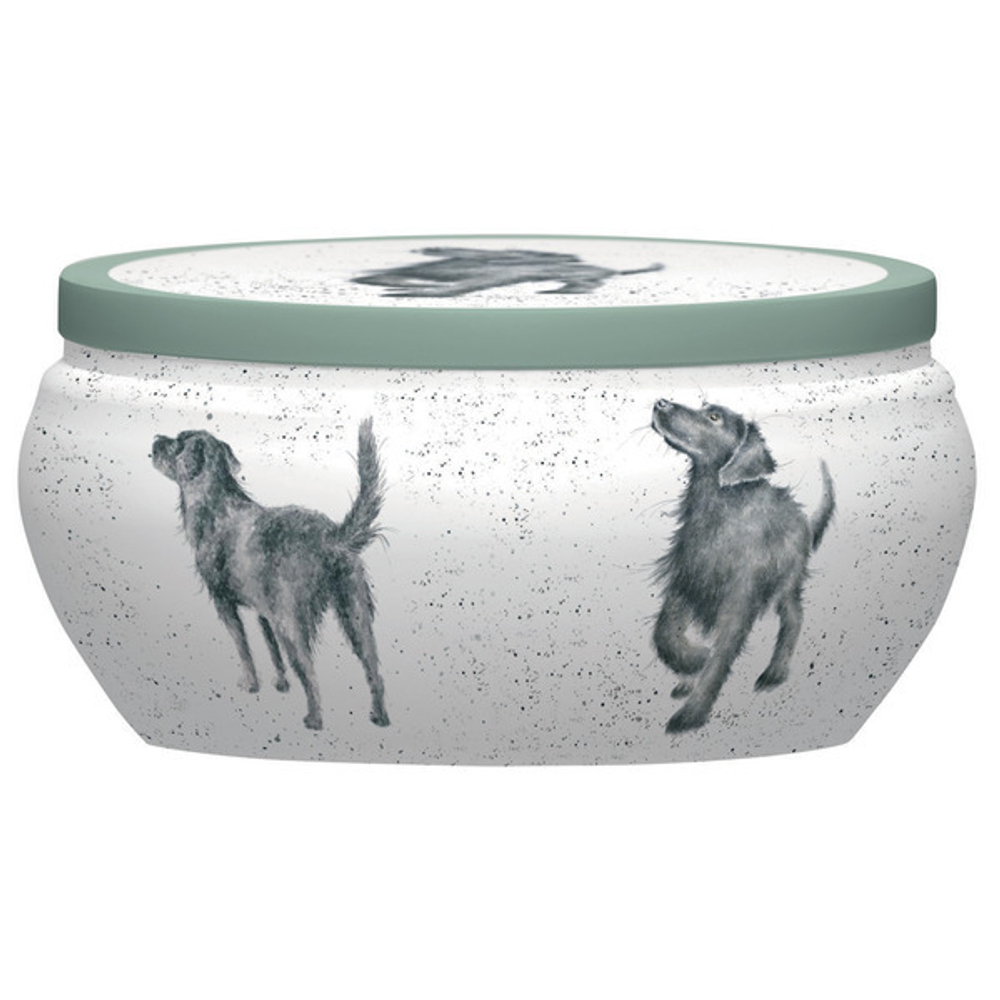 Свеча в жестяной банке 9см Забавная фауна На прогулку Royal Worcester