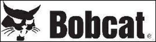 Коронки на BobCat 435