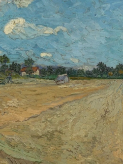 Картины-наклейки на стену для декора интерьерные №19