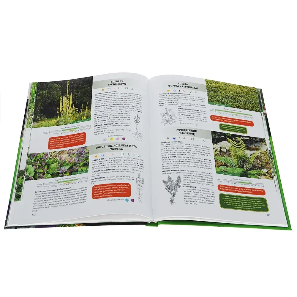 Быть или не быть...