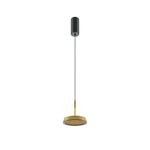 Подвесной светильник Maytoni MOD041PL-L15G3K