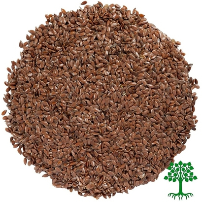 Лён масличный коричневый